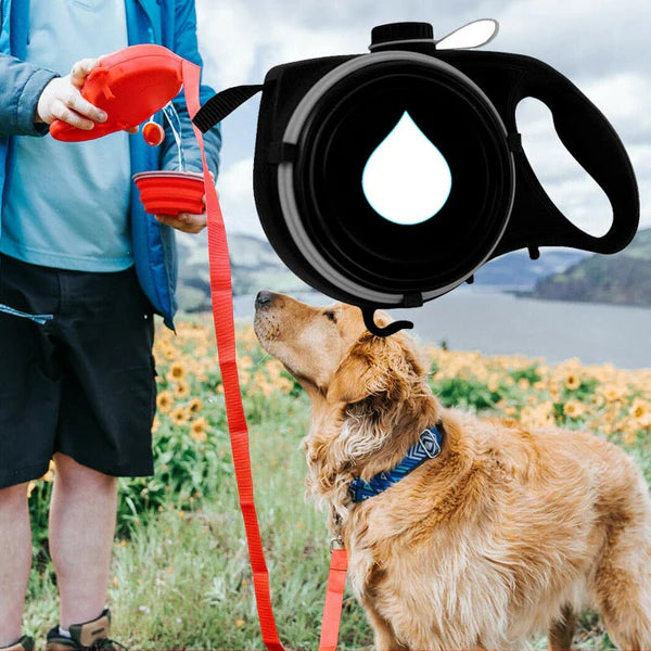 FlexiPaws™ | Allt din hund behöver!