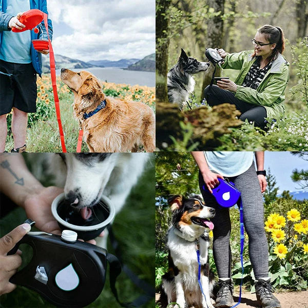 FlexiPaws™ | Allt din hund behöver!