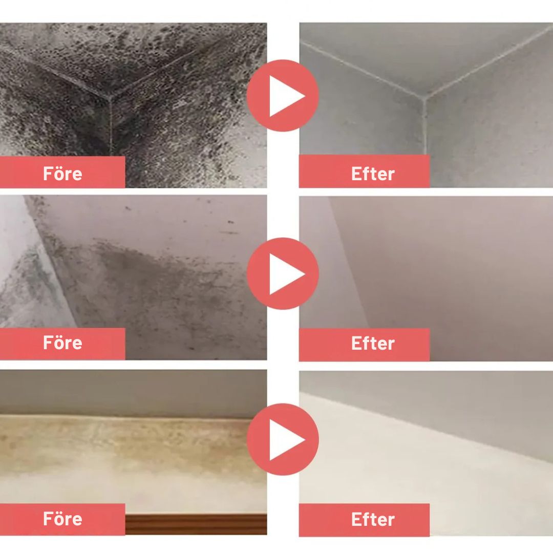 ClearMold™ | Inget mer mögel i ditt hem!